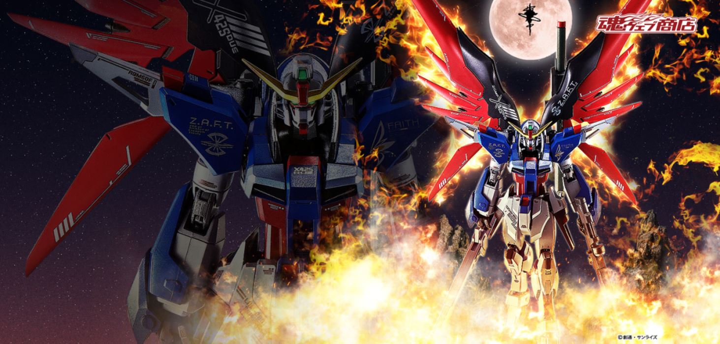 METAL ROBOT Spirits <SIDE MS> Destiny Gundam [Re:Coordinate]