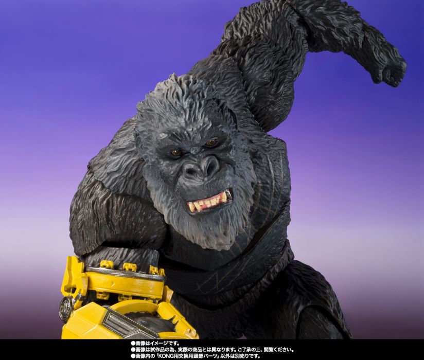 SHMonsterArts SHIMO FROM GODZILLA × KONG: THE NEW EMPIRE