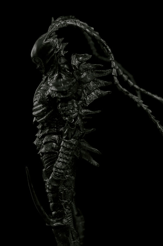 ABARA 1/12 Black Gauna Nayuta