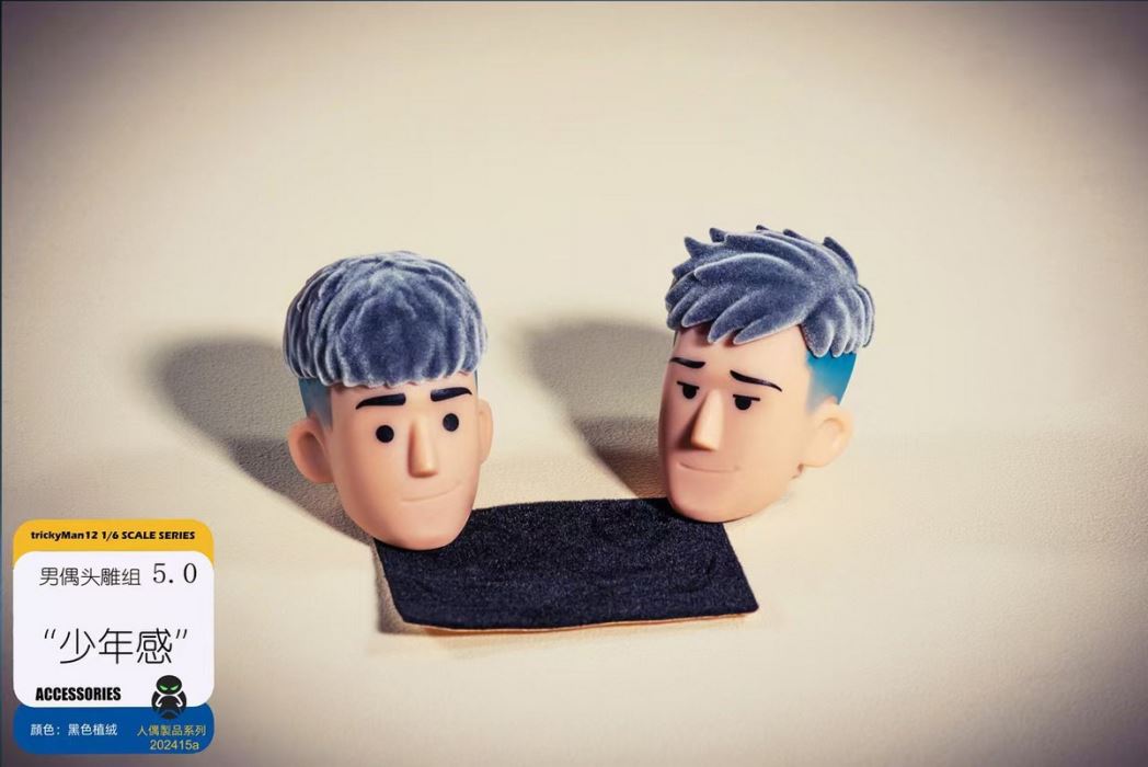 Fashion doll set 1/6