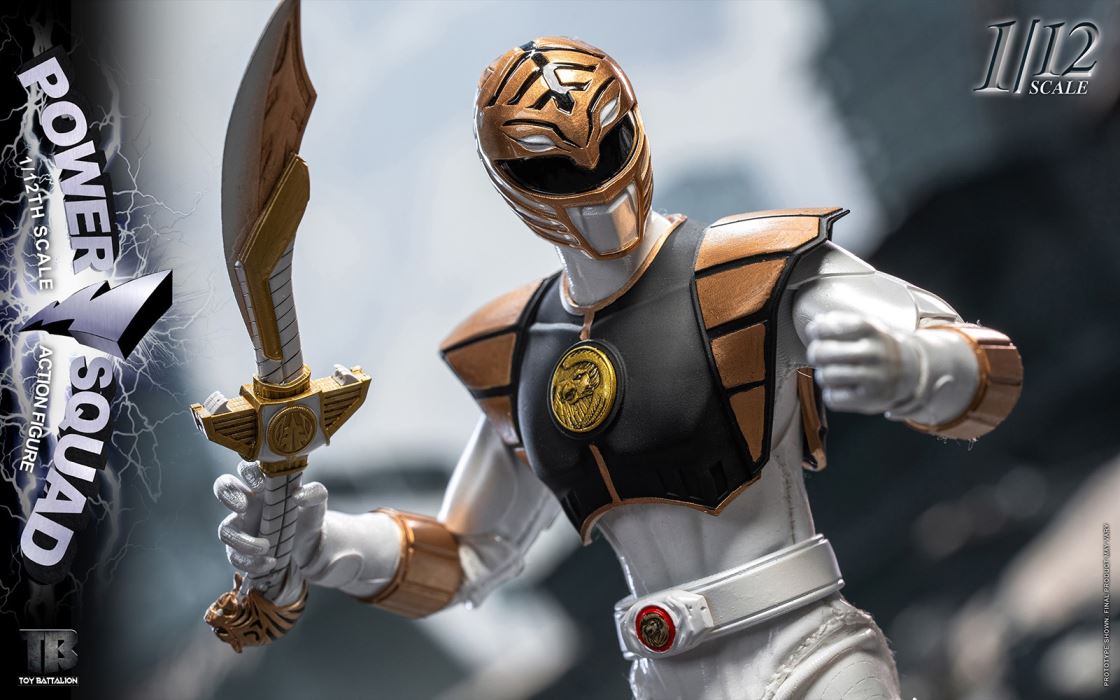 Power Squad Energy Team 1/12