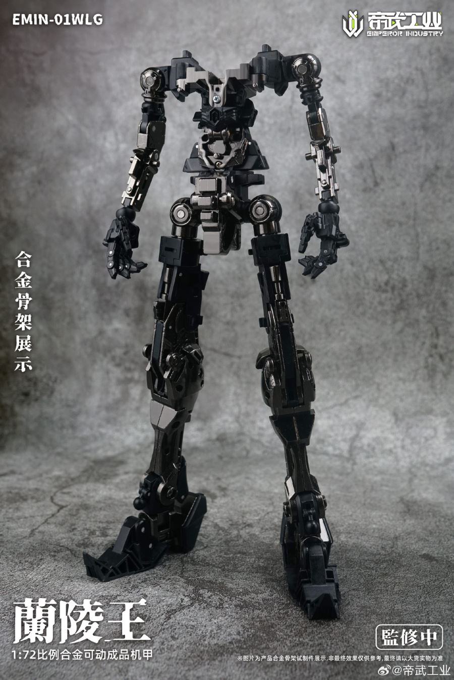 Lanling Wang EMIN01 WLG