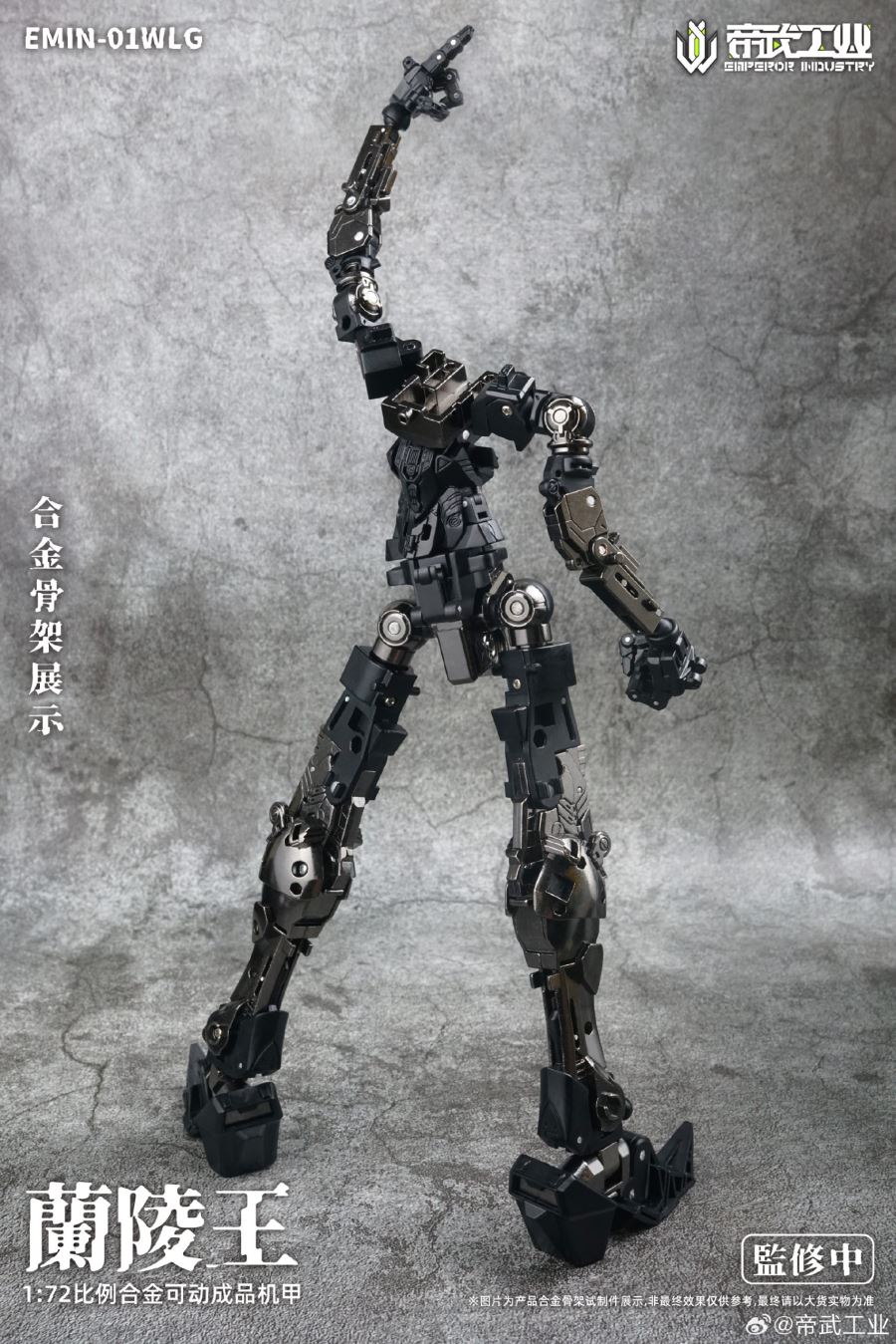 Lanling Wang EMIN01 WLG