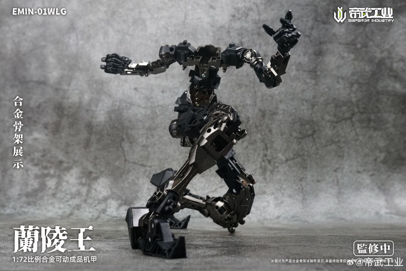 Lanling Wang EMIN01 WLG