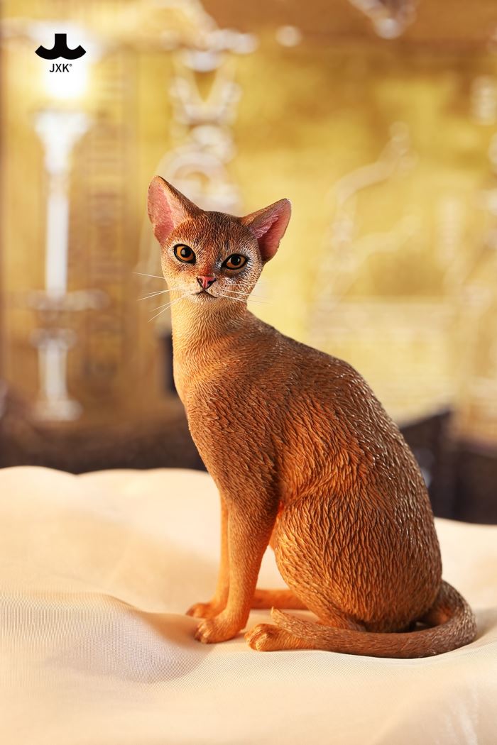Abyssinian Cat 1/6