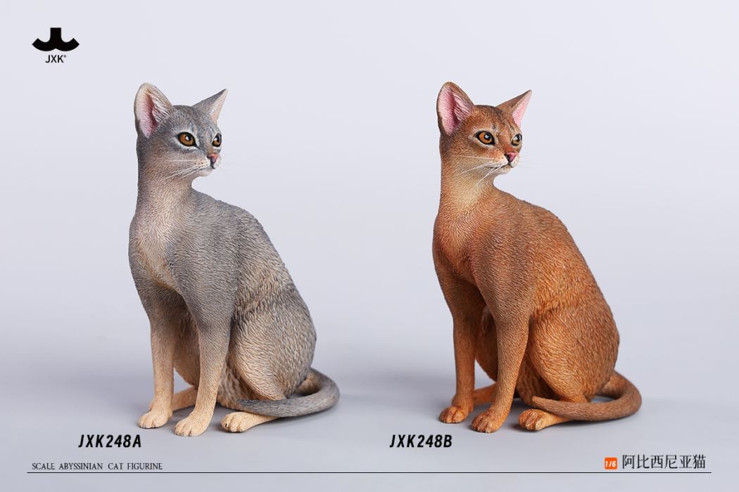 Abyssinian Cat 1/6