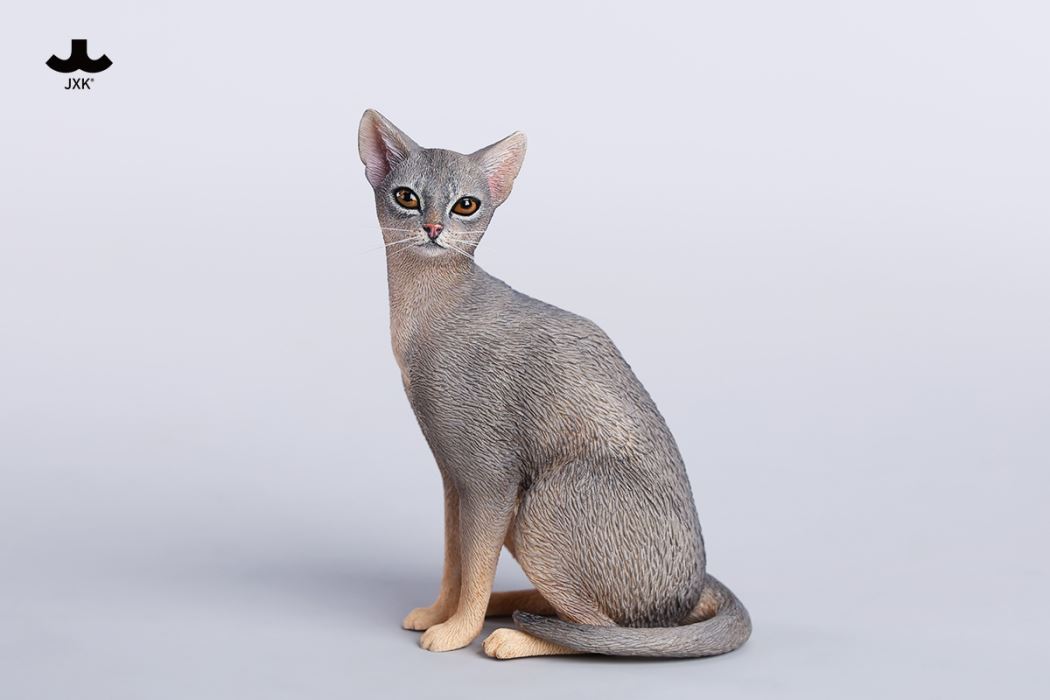 Abyssinian Cat 1/6