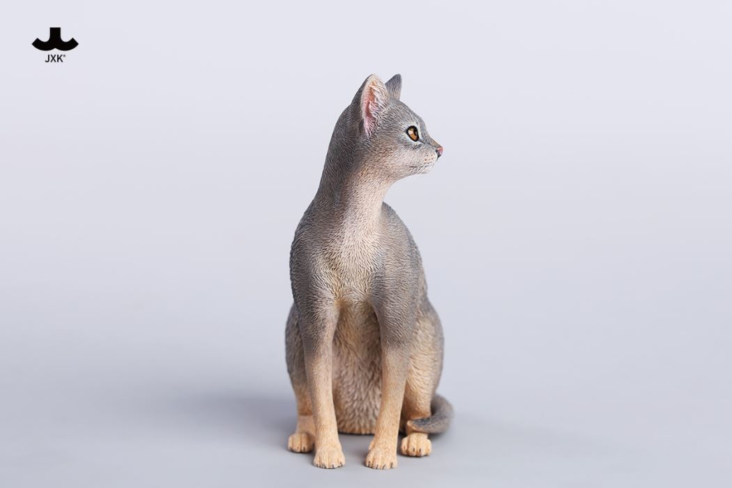 Abyssinian Cat 1/6