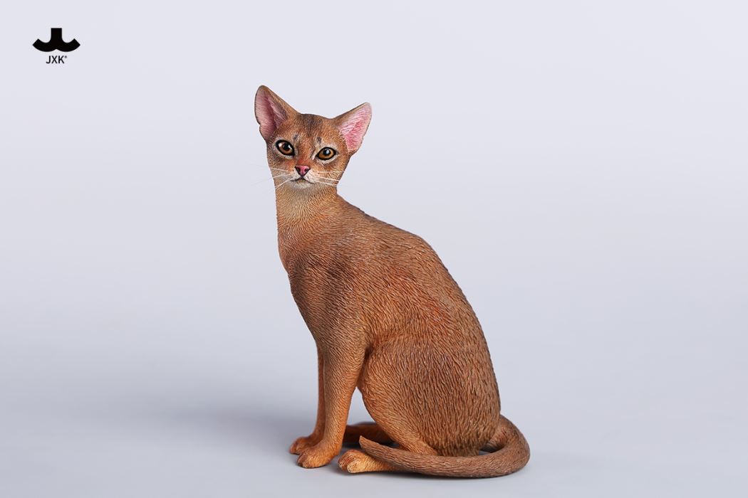 Abyssinian Cat 1/6