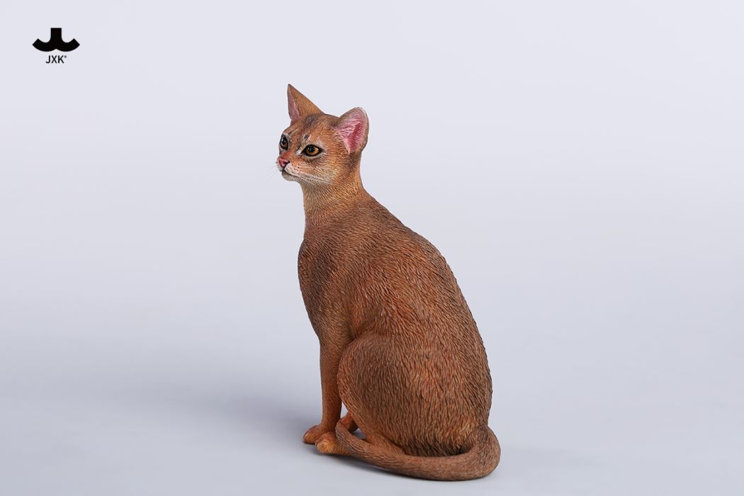 Abyssinian Cat 1/6