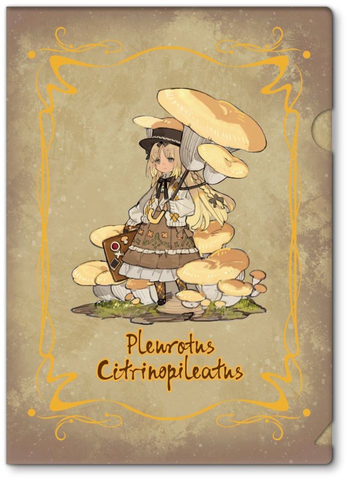 Mushroom Girls Series Pleurotus Citrinopileatus 1/1