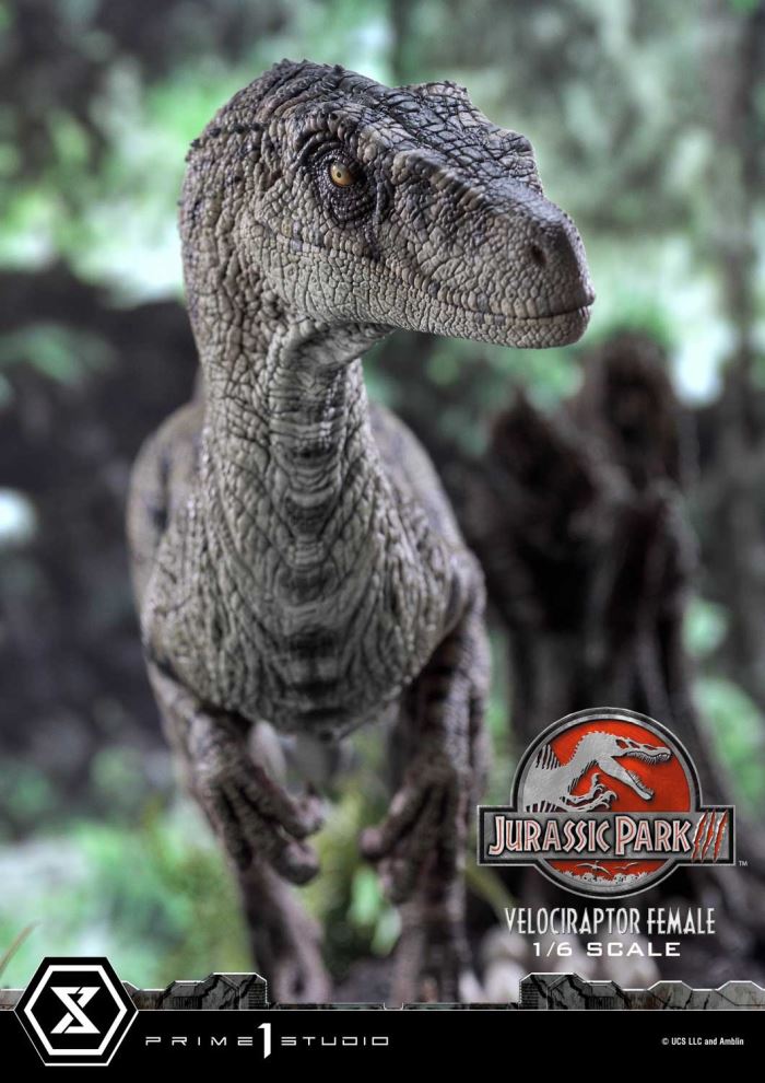 Jurassic Park III (Film) Velociraptor Female