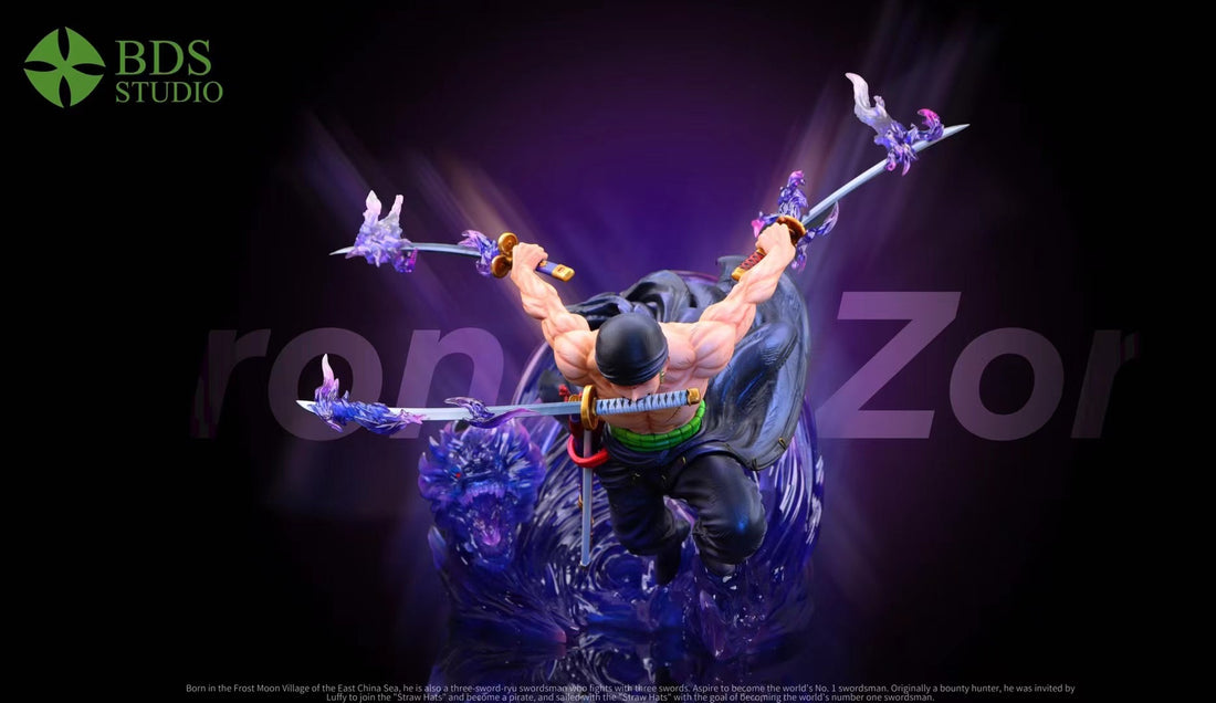 Drifting Zoro - One Piece