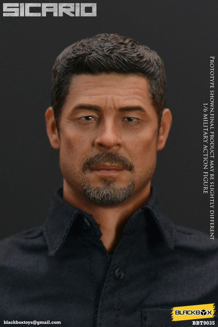 Sicario 1/6