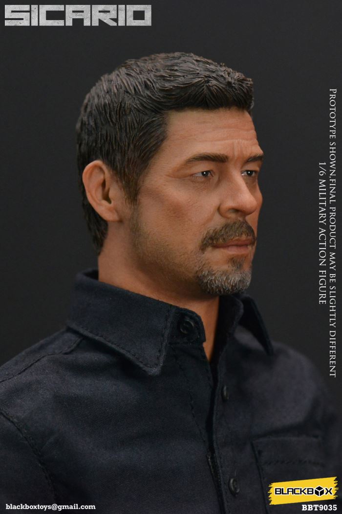 Sicario 1/6
