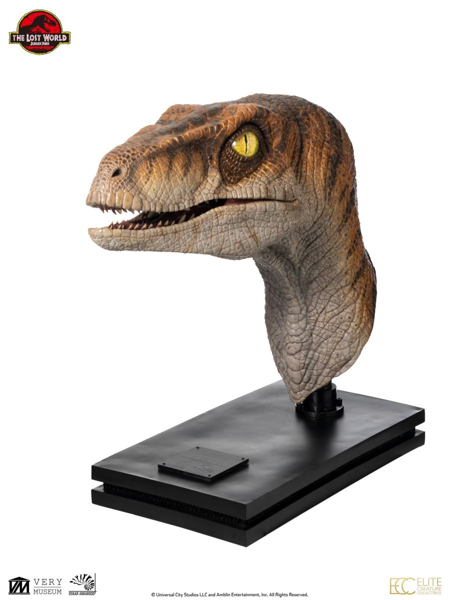 Male Velociraptor Life Size Bust (Jurassic Park : The Lost World)