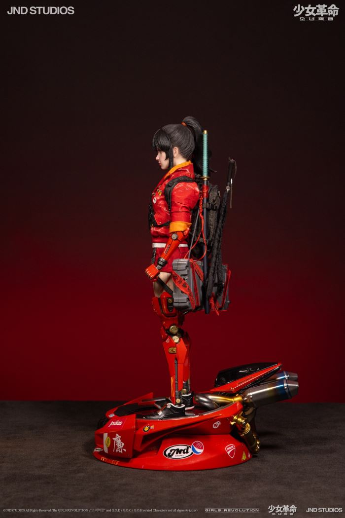 HIKARU (Collector’s Edition) of Girls’ Revolution 1/6