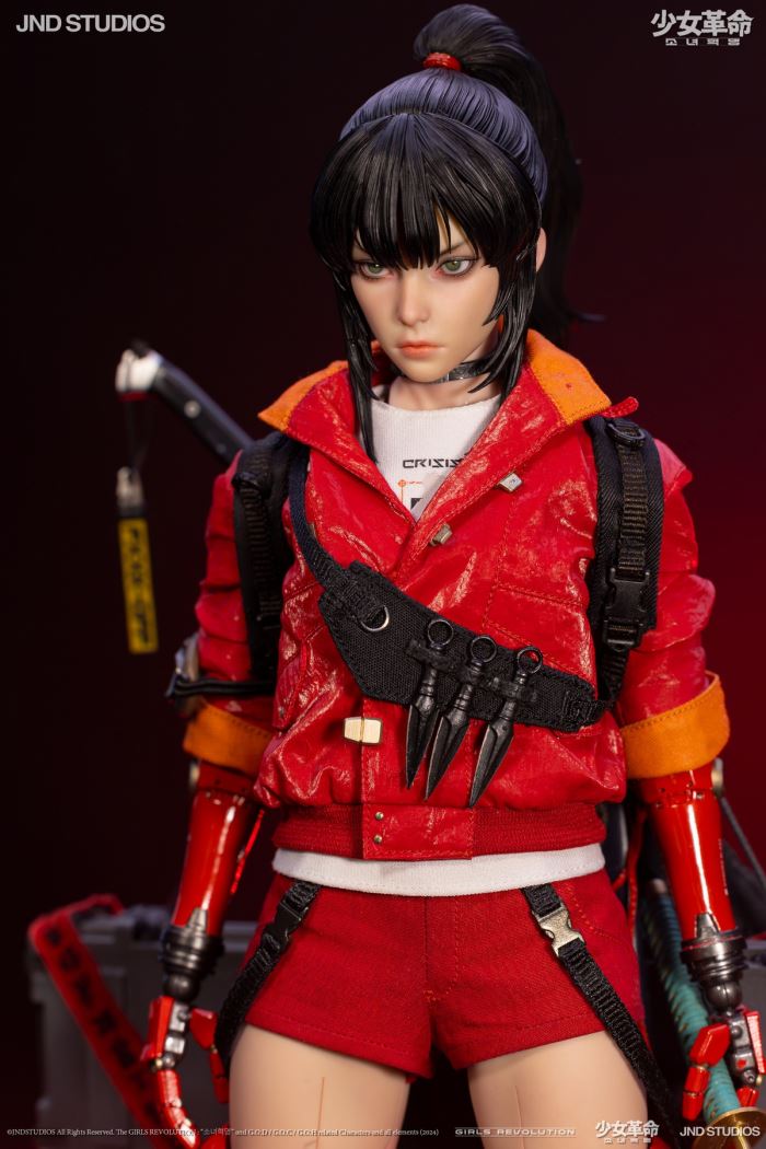 HIKARU (Collector’s Edition) of Girls’ Revolution 1/6