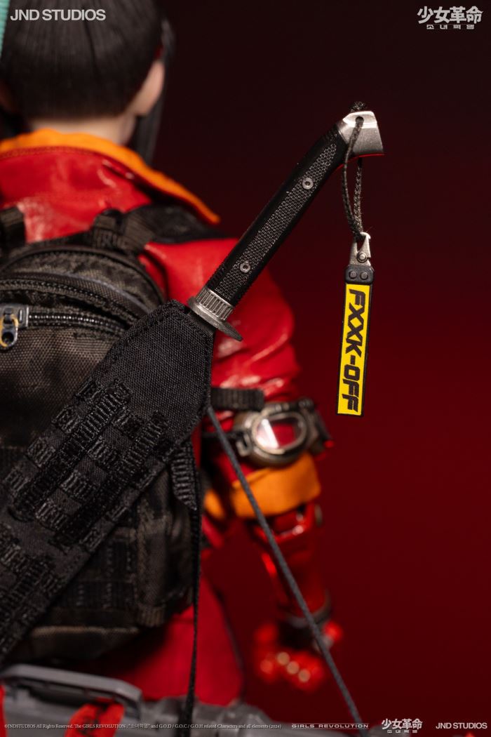 HIKARU (Collector’s Edition) of Girls’ Revolution 1/6