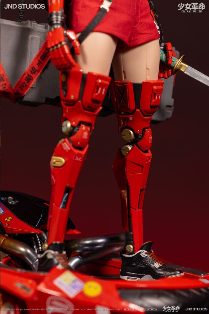 HIKARU (Collector’s Edition) of Girls’ Revolution 1/6