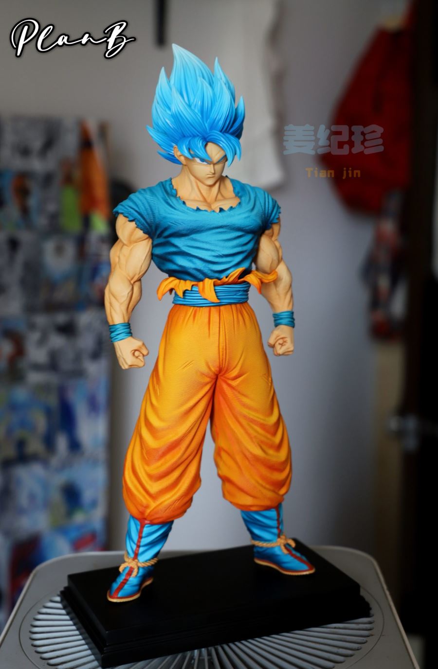 Super Saiyan & Super Saiyan 4 - Dragon Ball