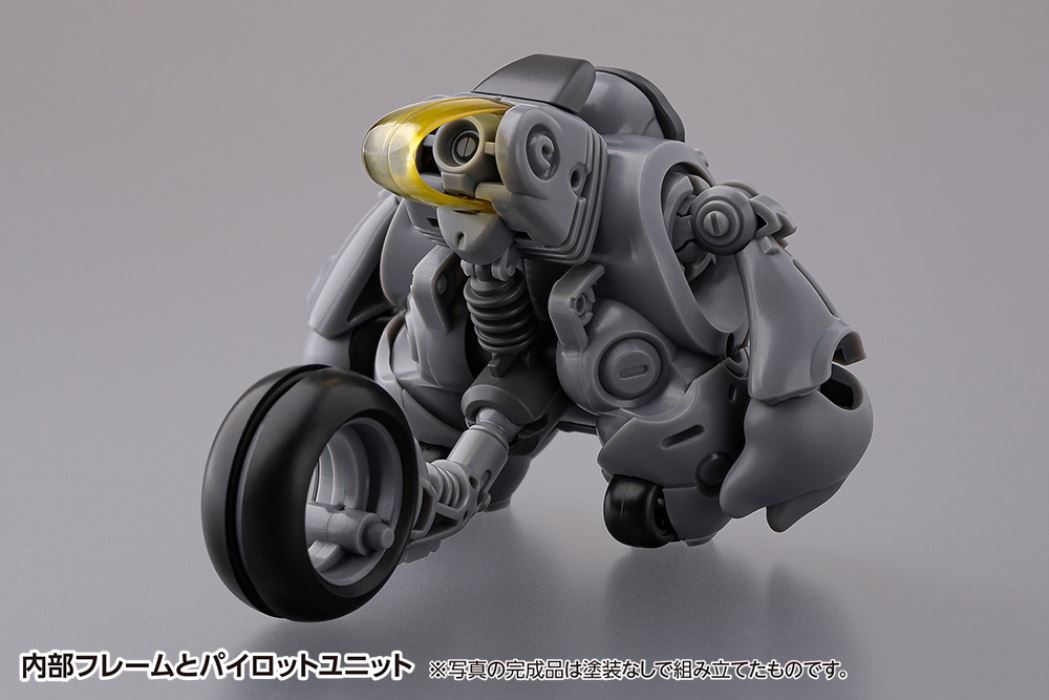 Kumamaru Racoon (Kuromaru)