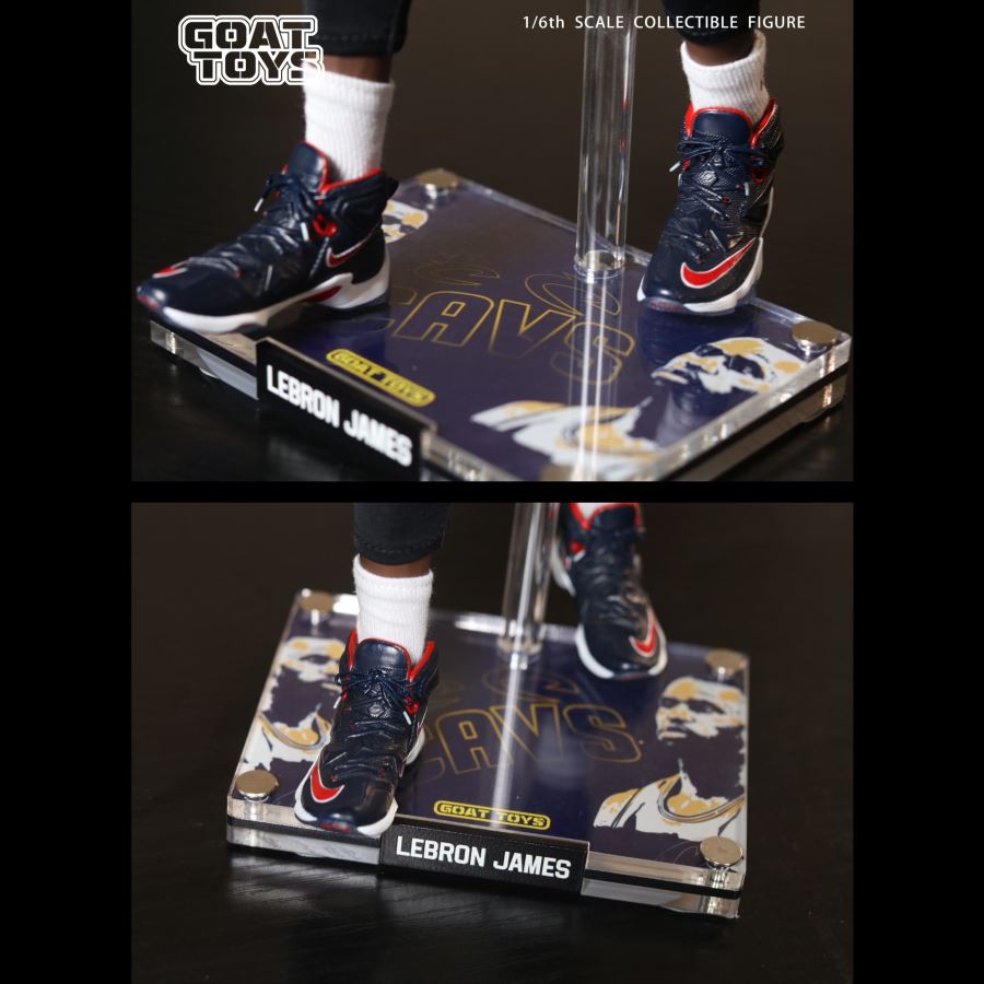 LeBron James - NBA 1/6