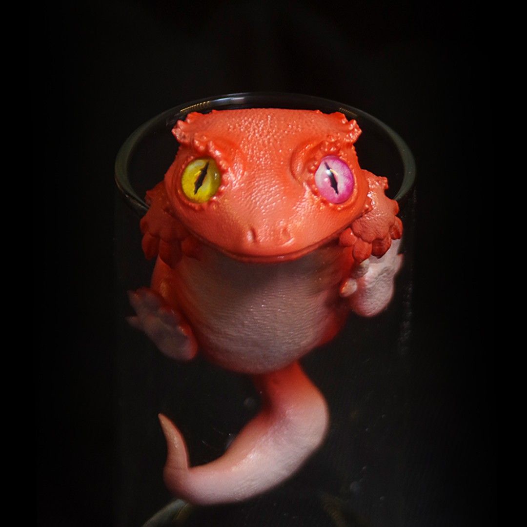 Pretty little lizard