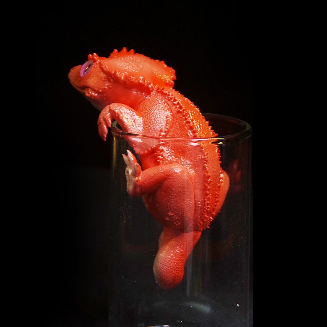 Pretty little lizard