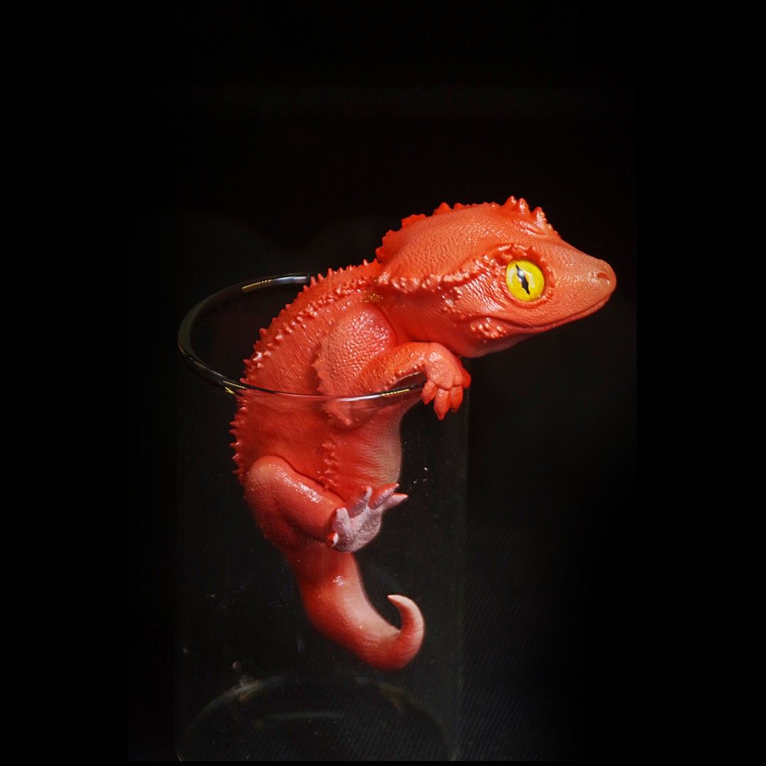 Pretty little lizard