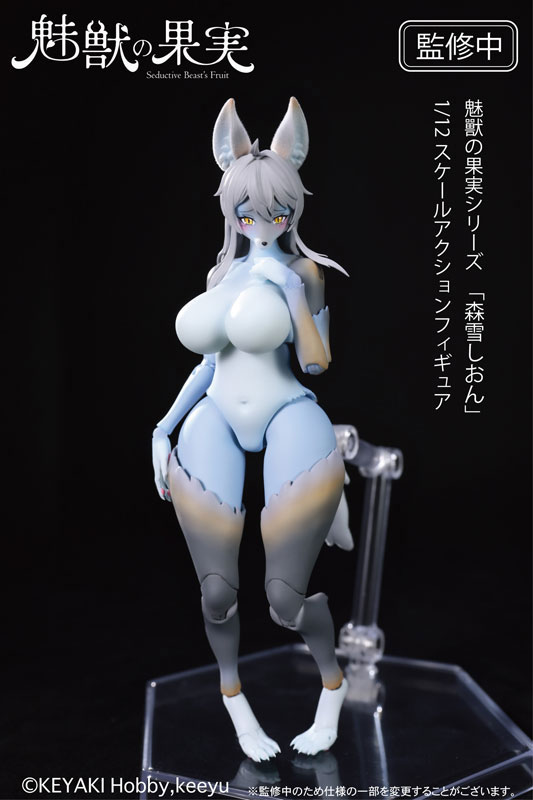 Seductive Beast's Fruit No.001 Shion Moriyuki 1/12