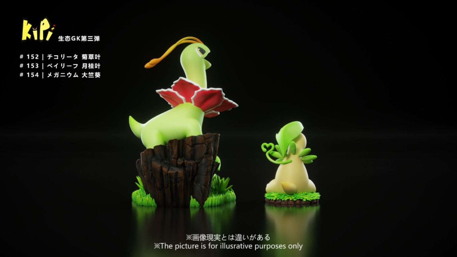 Feraligatr & Meganium - Pokemon