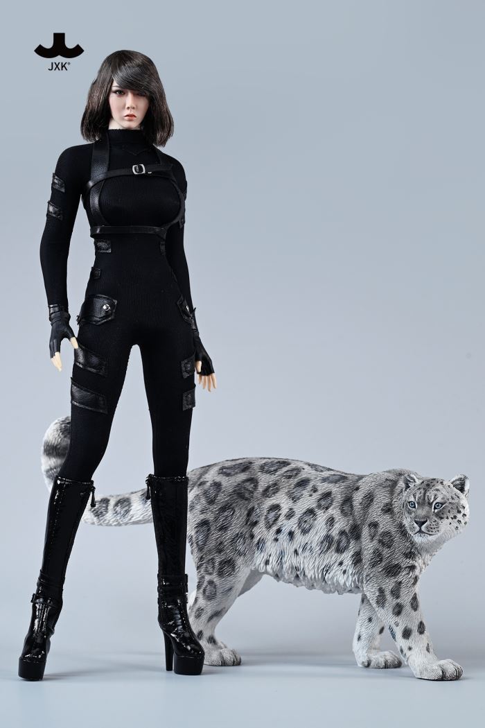 Snow leopard 1/6