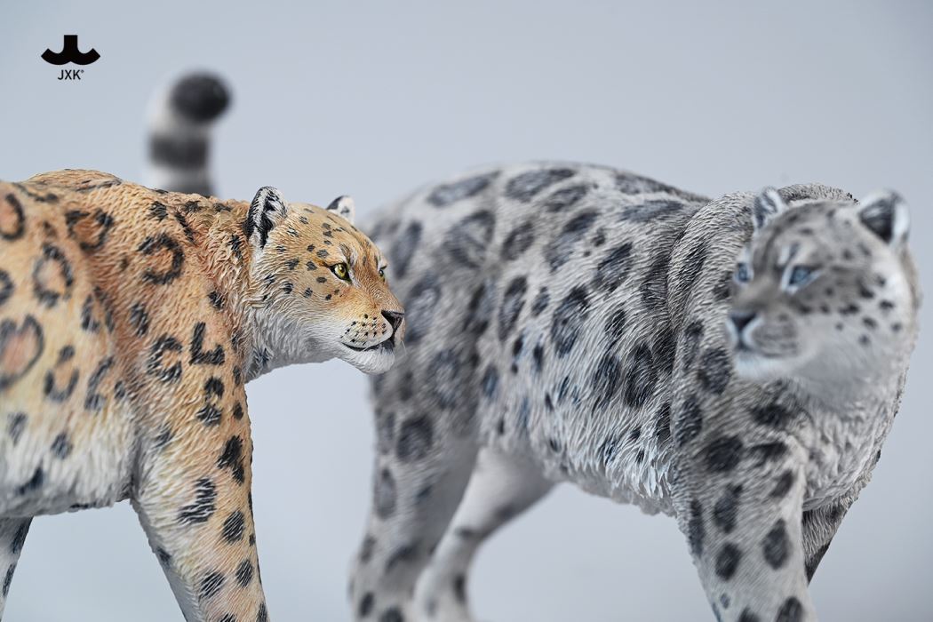 Snow leopard 1/6