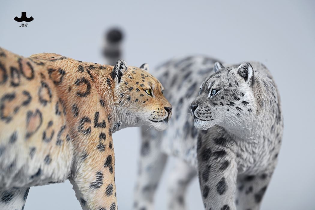 Snow leopard 1/6
