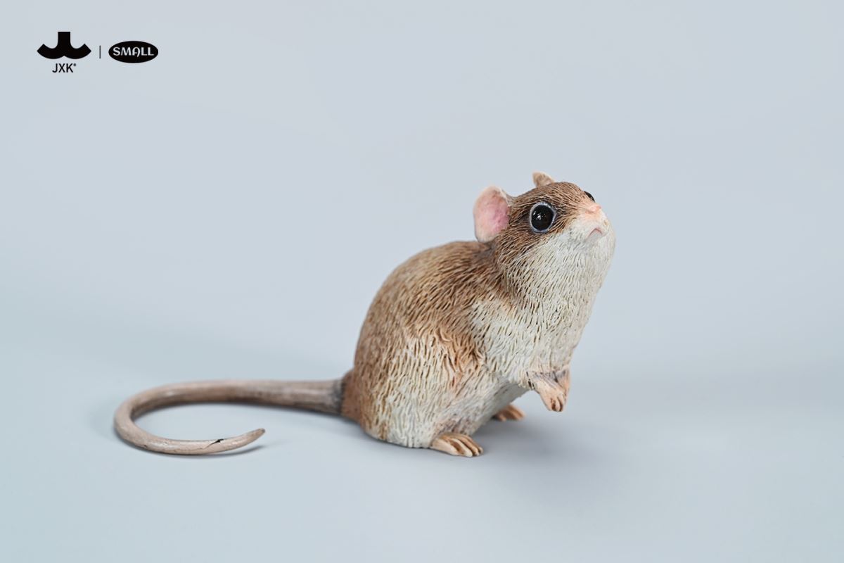 Little mouse 1/1