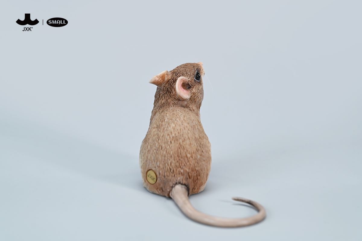 Little mouse 1/1