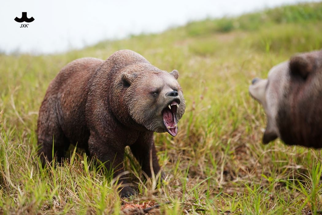 Brown bear 2.0 (JXK227)