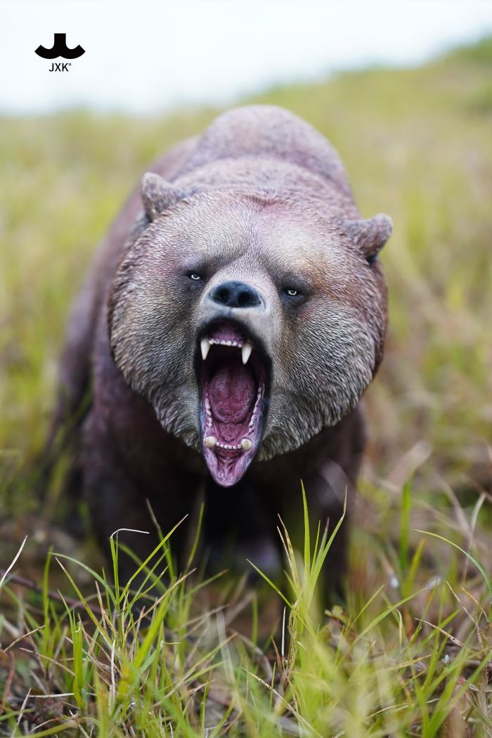 Brown bear 2.0 (JXK227)