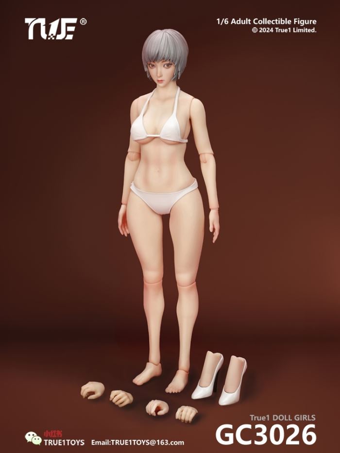 Jointed Female Doll Basic Set 1/6