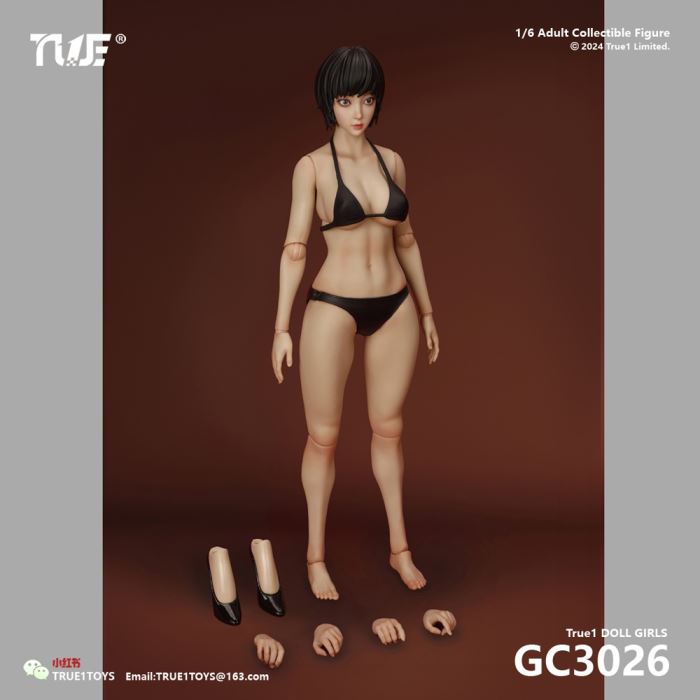 Jointed Female Doll Basic Set 1/6