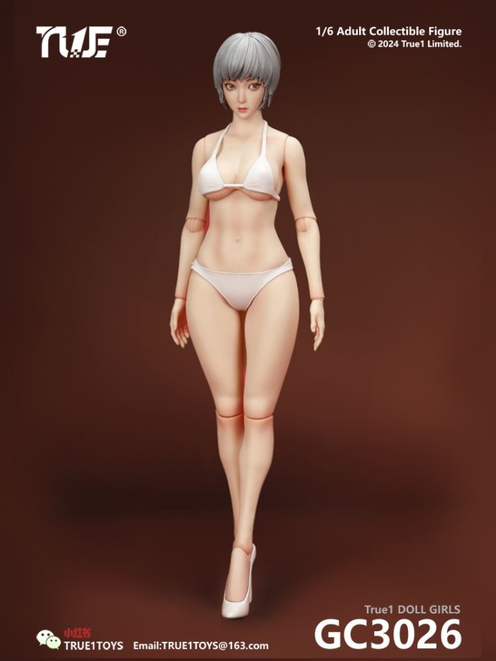 Jointed Female Doll Basic Set 1/6
