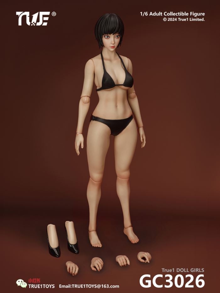 Jointed Female Doll Basic Set 1/6