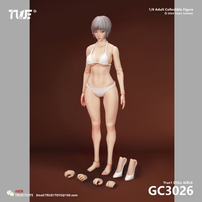 Jointed Female Doll Basic Set 1/6