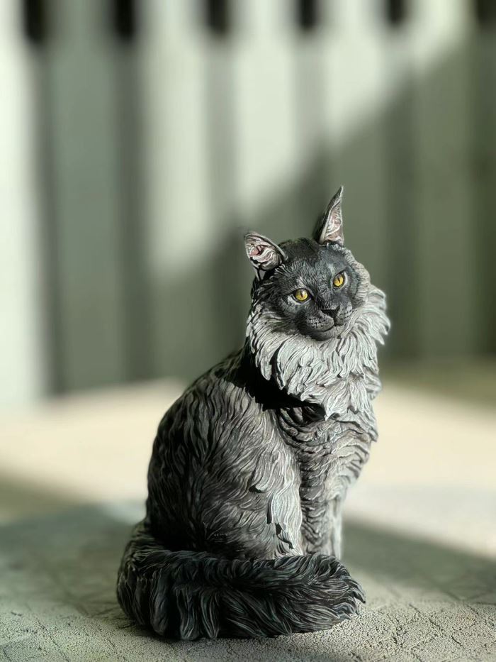 Maine Coon cat 1/6