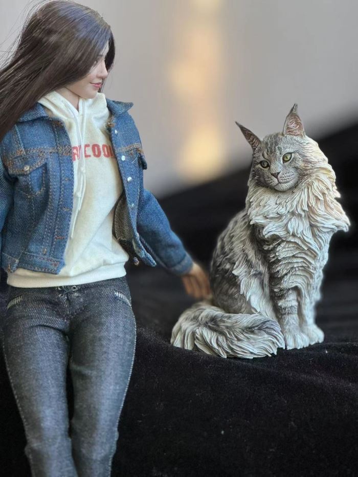 Maine Coon cat 1/6