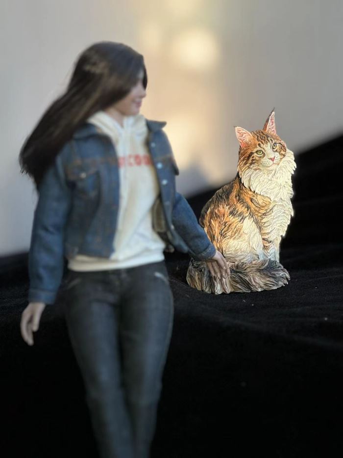 Maine Coon cat 1/6