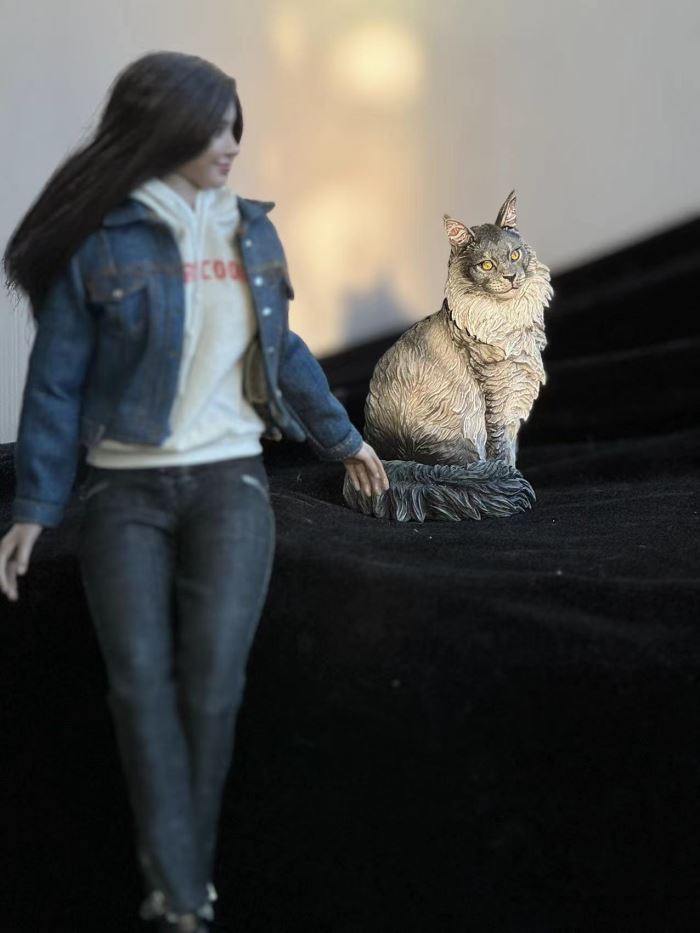 Maine Coon cat 1/6