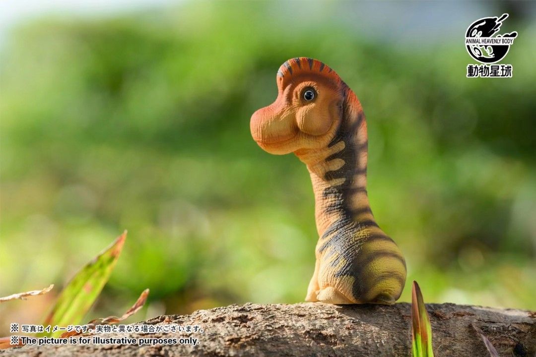 Round Paleontology Series Blind Box (First Edition)