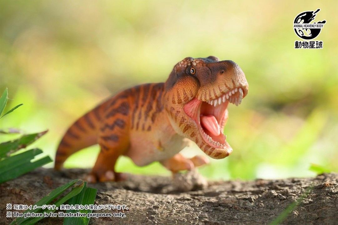 Round Paleontology Series Blind Box (First Edition)